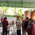 PDIP Kukar Tebar 6 Ekor Sapi Kurban