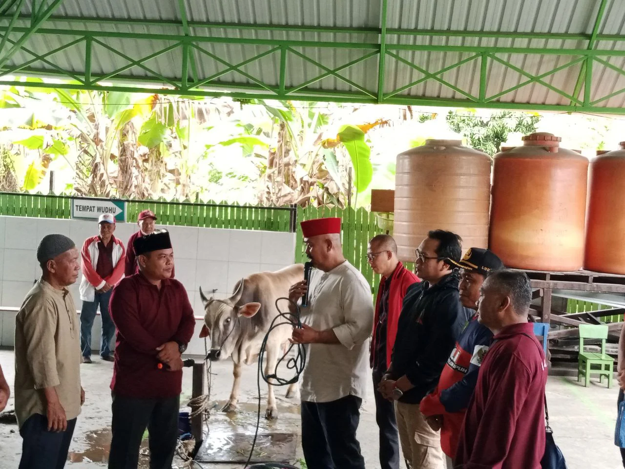 PDIP Kukar Tebar 6 Ekor Sapi Kurban