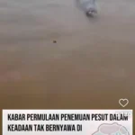 Seekor Pesut Mahakam Ditemukan Mengambang, RASI Ada 67 Ekor pada 2023