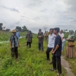Wujudkan Lumbung Pangan di Desa Handil Baru Samboja, Dengan Program Kampung Raja Mapan