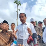 Presiden Jokowi Pimpin Sidang Kabinet Perdana di IKN, Bahas Kelanjutan Proyek dan Transisi Pemerintahan
