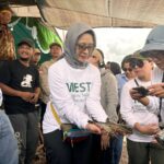 Tambak Ramah Lingkungan MESTI, Lestarikan Ekosistem Mangrove Sekaligus Dongkrak Hasil Panen
