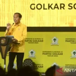 Presiden Jokowi Soroti 'Si Tukang Kayu' Usai Putusan MK Terkait Pilkada