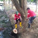 Piala Adipura Absen Selama 10 Tahun, Pemkab Kukar Benahi 17 Titik Penilaian