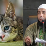 Ustaz Khalid Basalamah Jelaskan Hukum Memelihara Kucing dalam Islam: Apa yang Harus Diperhatikan?
