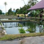 Manajemen BBI Perjiwa Akan Dibenahi