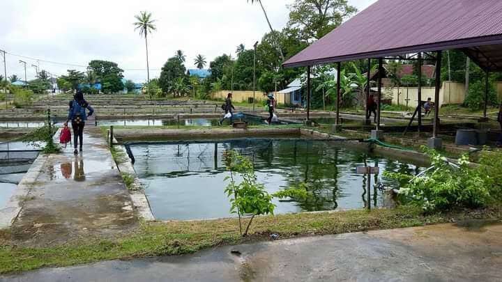 Manajemen BBI Perjiwa Akan Dibenahi