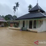 OIKN Tegaskan Komitmen Pembangunan Berkelanjutan di IKN Meski Diterpa Banjir