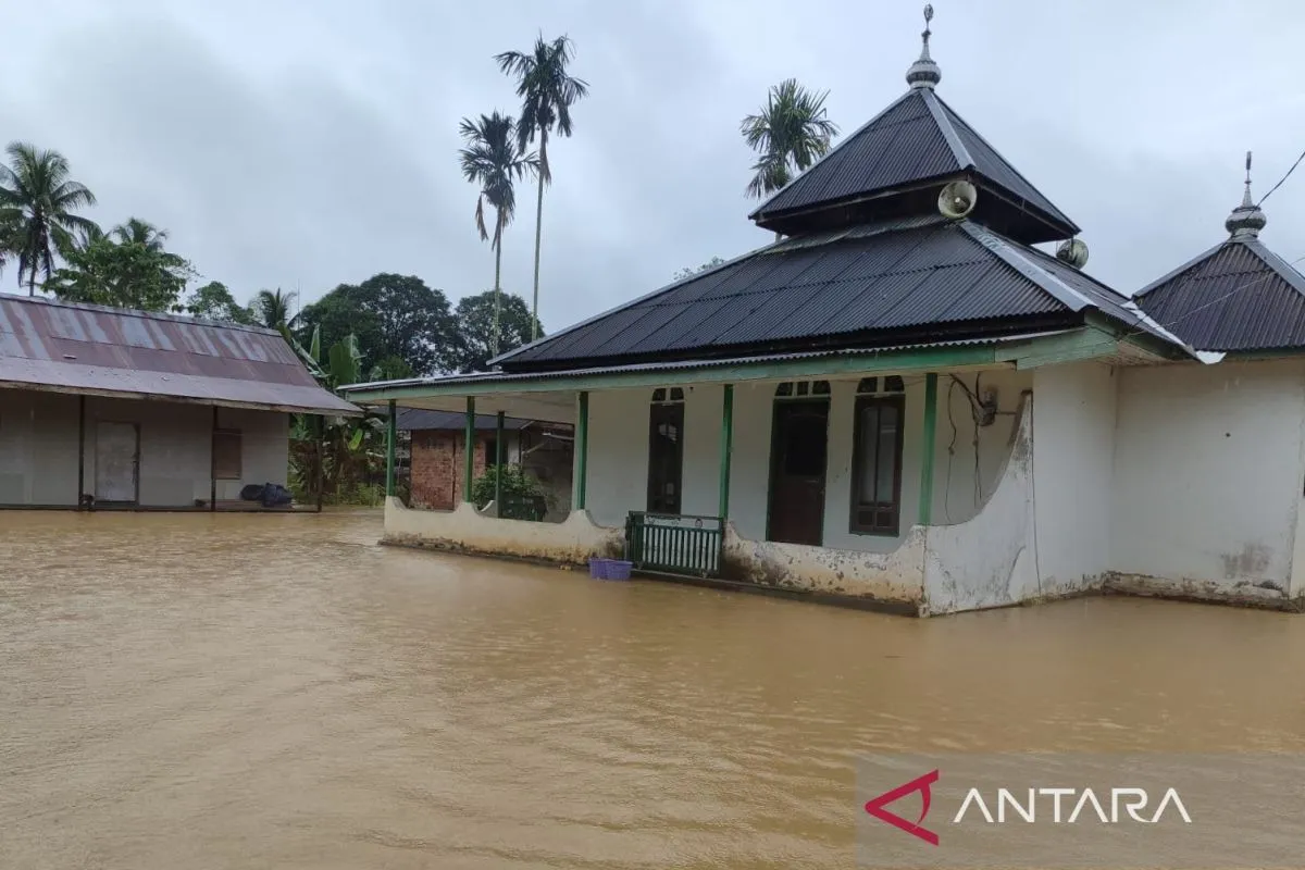 OIKN Tegaskan Komitmen Pembangunan Berkelanjutan di IKN Meski Diterpa Banjir