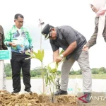 500 Bibit Pohon Aren dan 5.000 Ikan Nila Ditanam di Bendungan Babulu, Penajam Paser Utara, Sebagai Upaya Pelestarian Lingkungan