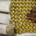 Tempe: Superfood Nabati yang Baik untuk Jantung dan Kesehatan Tubuh