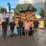 Polres Paser Ungkap Dua Kasus Illegal Logging, Amankan Empat Pelaku dan Puluhan Batang Kayu Ilegal