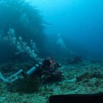 Kisah Yovi, Pemandu Selam Maratua yang Selamatkan Wisatawan Asing dari Kematian di Bawah Laut
