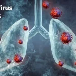 Dokter Jelaskan Human Metapneumovirus (HMPV) Bukan Varian Baru COVID-19 dan Tidak Sebabkan Pandemi Besar