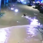 Waspada Banjir di Kutai Timur Kemunculan Buaya Jadi Ancaman Baru