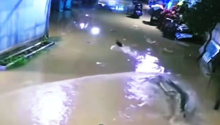 Waspada Banjir di Kutai Timur: Kemunculan Buaya Jadi Ancaman Baru