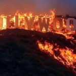 Penyebab Kebakaran Hutan Pacific Palisades di Loa Angeles: Api Meluas, Ribuan Penduduk Mengungsi