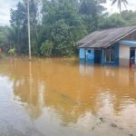 Banjir dan Longsor Hantam Wilayah Sekitar IKN, Warga Diminta Waspada