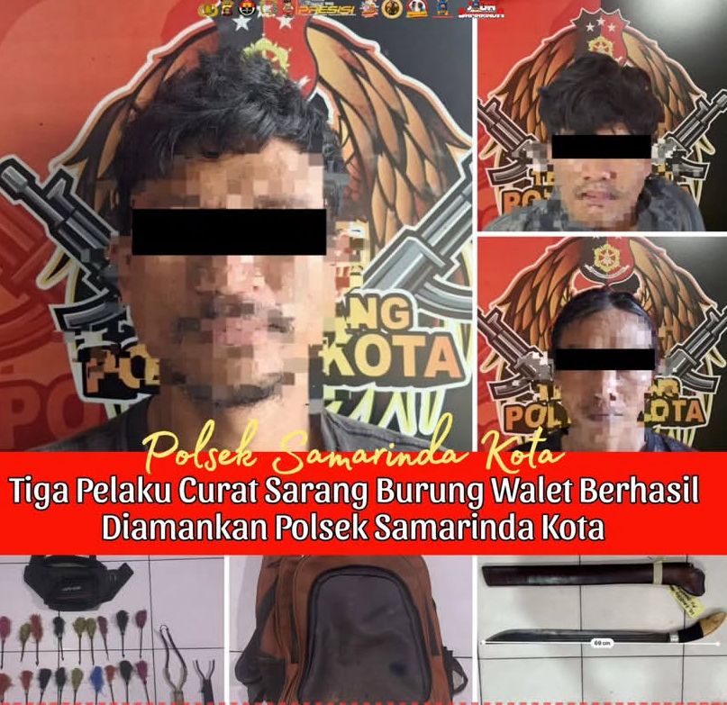 Tiga Pencuri Sarang Walet yang Lukai Warga dengan Panah Dibekuk, Satu Buron