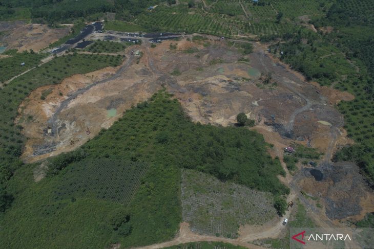 penyerobotan lahan BOSF, Samboja Lestari, Martin Bauk, orangutan Kalimantan, persidangan Tenggarong