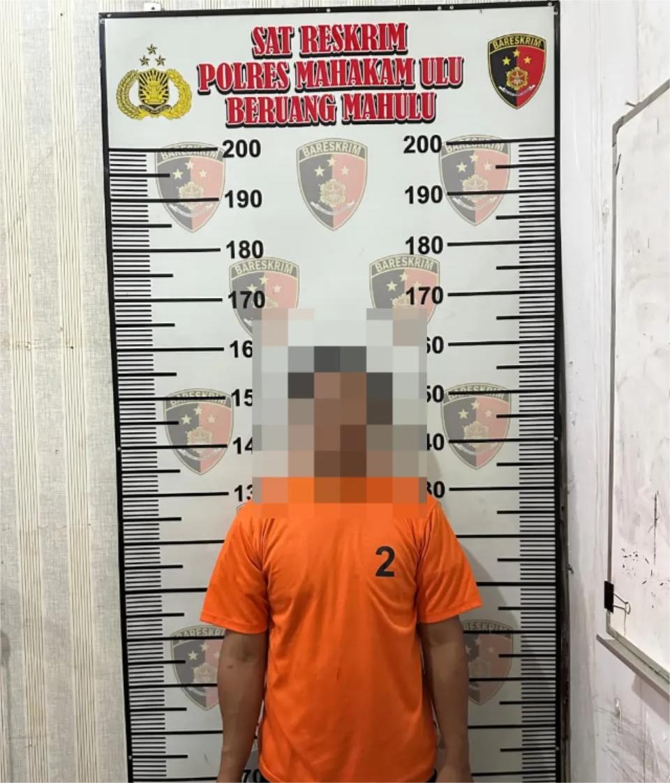 Polres Mahakam Ulu, pencurian pupuk, PT MCA, Danum Paroy, Kecamatan Laham