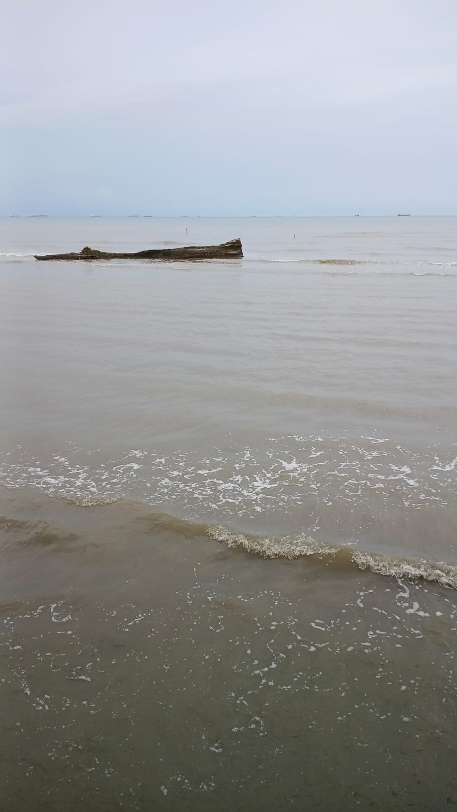 Batang Pohon Besar Dibawa Arus Laut Bikin Warga Pemukiman Atas Air Resah