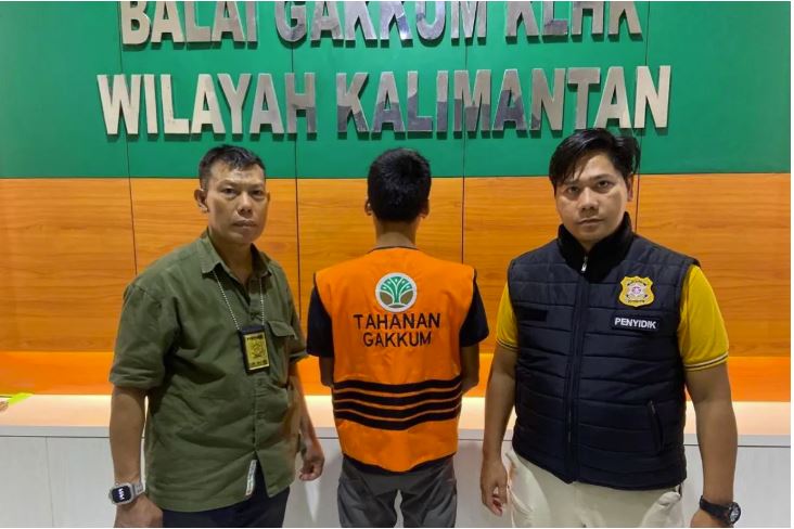 Sindikat Pembalakan Liar di Kaltim Terbongkar, Pembuat Dokumen Palsu Ditangkap di Blitar