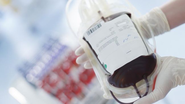 Golden Blood: Fakta Mengejutkan Golongan Darah Emas yang Hanya Dimiliki Puluhan Orang di Dunia