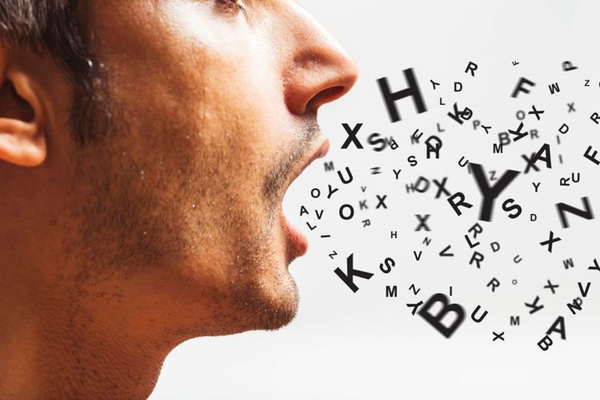 memaki teman pakai nama hewan, penghinaan ringan, pencemaran nama baik, KUHP 2026, denda Rp10 juta