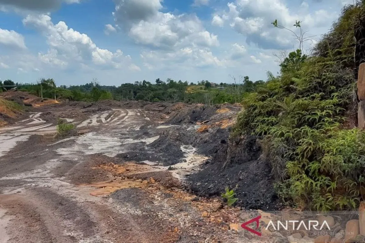 OIKN Tegas Perangi Perusakan Hutan IKN: Patroli Diperkuat di Empat Titik Rawan