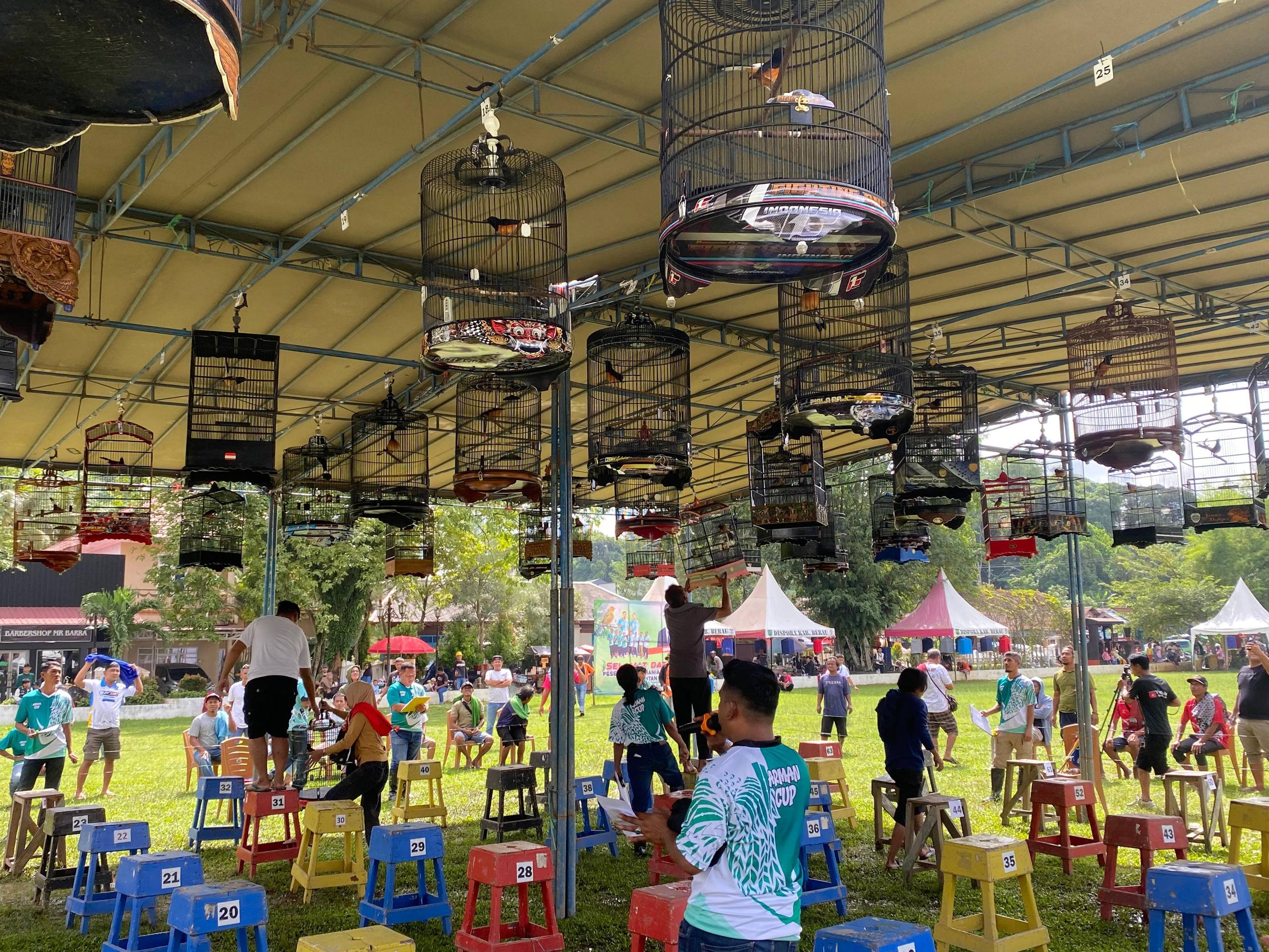 Arman Cup 2025 Sukses Digelar, Dongkrak UMKM dan Pariwisata Berau