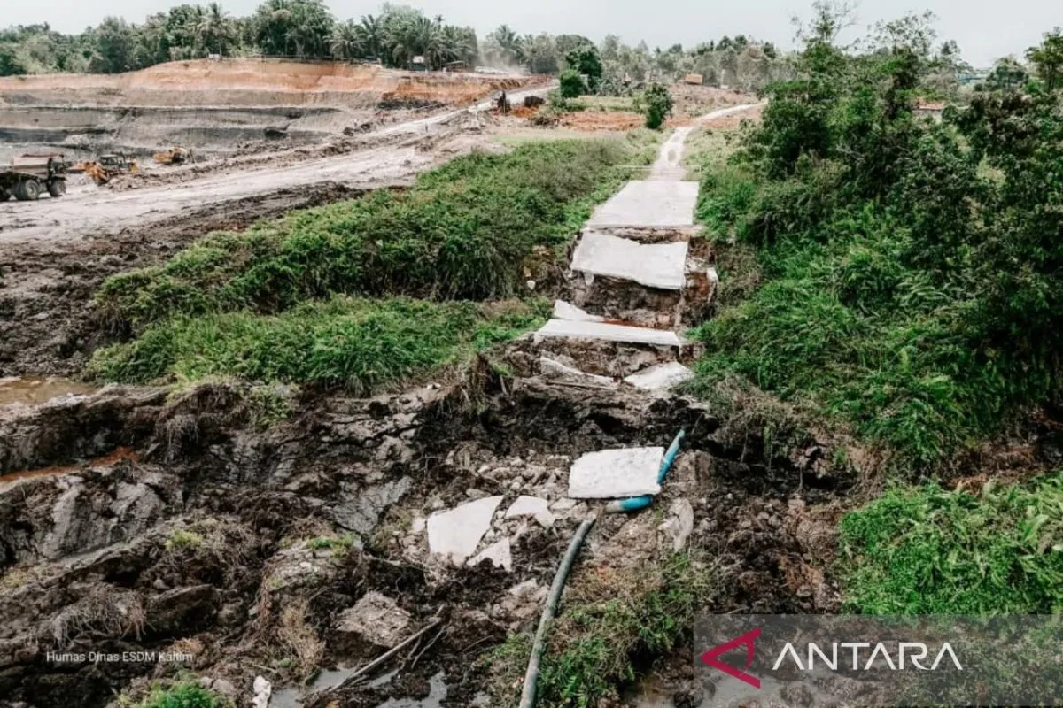 Gubernur Ambil Langkah Tegas: Penutupan Tambang Ilegal Kaltim Demi Selamatkan Hutan yang Kritis