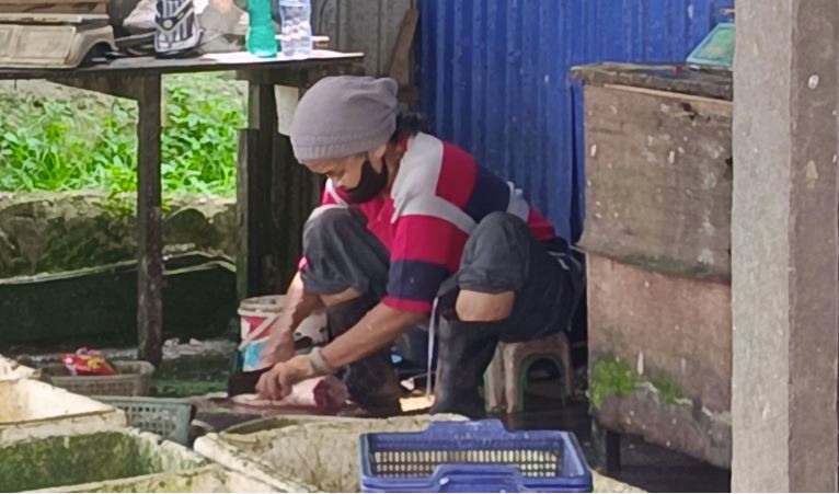 Harga Ikan Laut di Samarinda Naik Signifikan