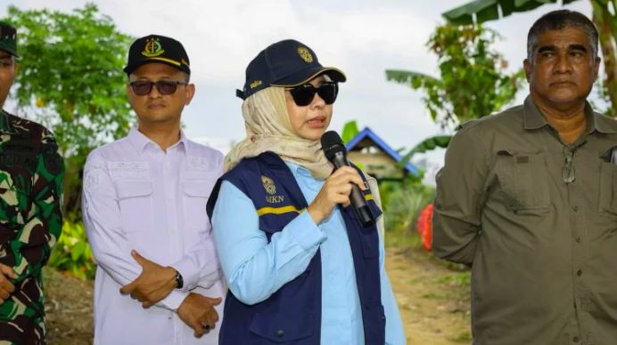 Kerusakan Tahura Bukit Soeharto, Deputi OIKN: Penegakan Hukum Tak Bisa Ditawar