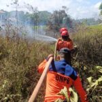 Hingga Mei, BPBD PPU Tangani Lima Kejadian Karhutla