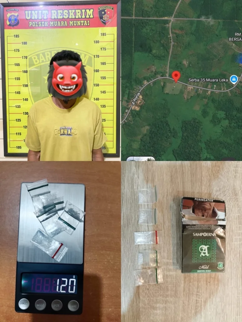 Polsek Muara Muntai Ringkus Pengedar Sabu di Perkebunan Sawit Desa Muara Leka