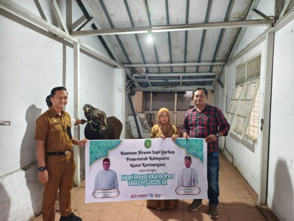 Pemkab Kukar Serahkan Bantuan Sapi Kurban ke PWI Kukar