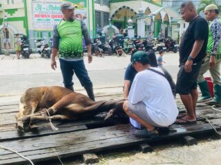 Headlinekaltim.co Sembelih Tiga Ekor Sapi Kurban