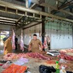 Jumlah Hewan Kurban Masuk RPH Gunung Tabur Merosot 50 Persen, Ini Penyebabnya
