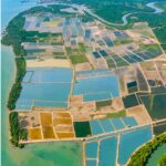 Optimalkan Tambak Pesisir, Diskan Kutim Usung Program Green Aquaculture