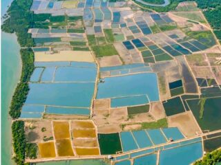Optimalkan Tambak Pesisir, Diskan Kutim Usung Program Green Aquaculture