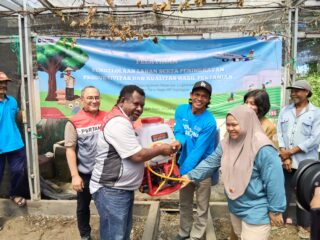 Pertamina Patra Niaga Regional Kalimantan Latih Warga Kelola Lahan Hortikultura, Dorong Ketahanan Pangan
