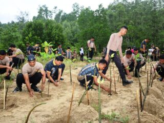 Sambut Hari Bhayangkara ke-80, Polres PPU Tanam 1.000 Mangrove di Pesisir Pantai