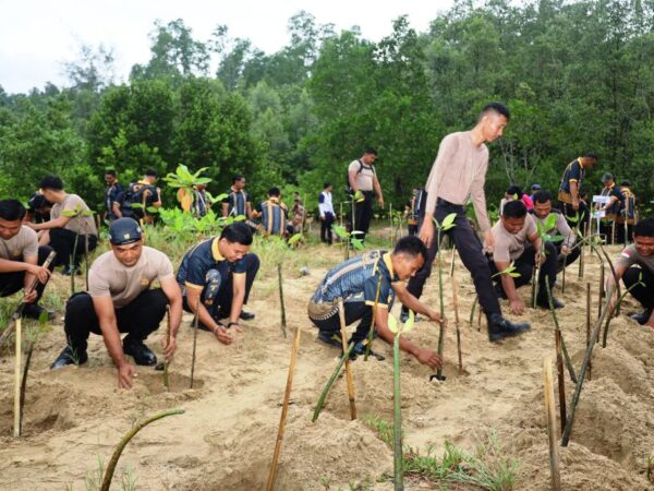 Sambut Hari Bhayangkara ke-80, Polres PPU Tanam 1.000 Mangrove di Pesisir Pantai