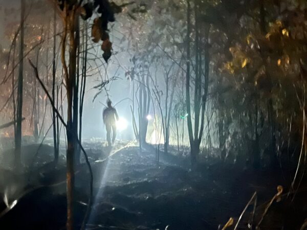 Lima Hektare Lahan di Makroman Terbakar, Petugas BPBD dan TNI Kerja hingga Dini Hari