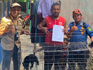 BKSDA dan Damkar Berau Evakuasi Anakan Beruang Madu dari Rumah Warga