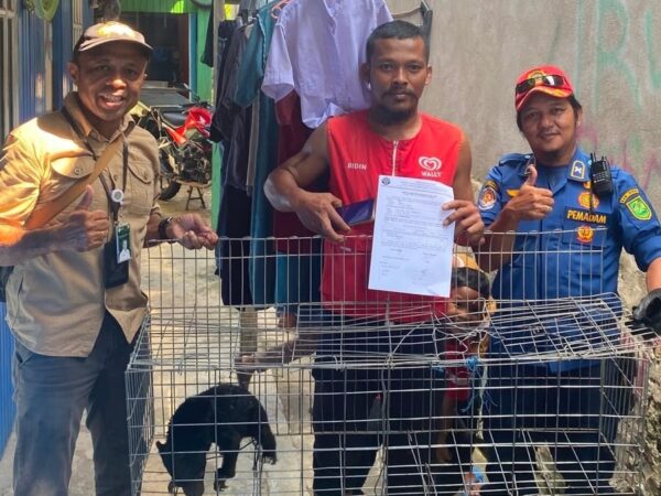BKSDA dan Damkar Berau Evakuasi Anakan Beruang Madu dari Rumah Warga