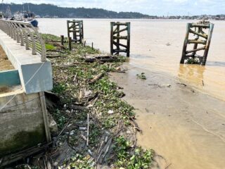 DLH Siapkan Kerja Bakti Massal dan Penyiraman Lokasi Jelang Pengoperasian Teras Samarinda II