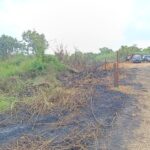 Pemancing Buang Puntung Rokok, Gubuk dan Lahan di Loa Ipuh Terbakar