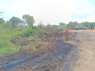 Pemancing Buang Puntung Rokok, Gubuk dan Lahan di Loa Ipuh Terbakar